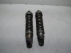 Rear cushion Honda VT 500
