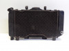 Radiator Yamaha TDM