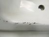Cowl Left Honda CBR 600 F