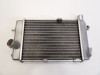 Radiateur Aprilia RSV 1000