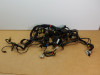 Wire Harness Moto Guzzi Norge