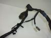 Wire Harness Honda Deauville 650 - 700