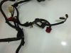 Wire Harness Honda CBR 1000 F