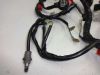 Wire Harness Honda CBR 1000 F