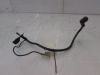 Wire harness front Triumph Tiger 900