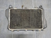 Radiator Kawasaki GPZ 900