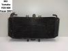 Radiator Yamaha FAZER 600