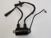 Bobine Honda VT 1100
