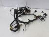 Wire Harness Triumph 1200 Daytona