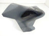 Windschild BMW F 800 R