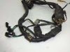 Wire Harness Honda CMX 250 