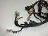 Wire Harness Honda VF 1000 F
