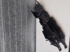 Achterspatbord Aprilia Tuono 1000