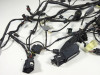 Wire Harness BMW F 800 S - ST