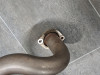 Downpipes Buell Lightning XB12