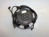 Fan Honda TRANSALP