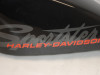 Tank Harley Davidson Sportster