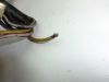 Handlebar switch assy left Suzuki GSX R 750