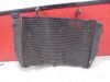 Radiator Yamaha YZF R1
