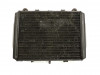 Radiateur Kawasaki GPX 600