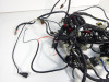 Wire Harness Aprilia Dorsoduro 750