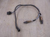 Lambda sensor KTM 790 Adventure
