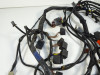 Wire Harness Triumph Sprint ST 1050