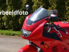 Scheibe Windschild Suzuki RF 600