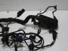 Wire Harness BMW F 800 S - ST