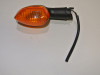 Blinker Yamaha FZ1