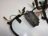 Wire Harness Suzuki RF 600