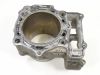 Cilinderblok Suzuki TL 1000