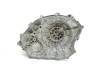 Crankcase cover Clutch side Honda CBF 1000