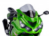 Kuipruit Kawasaki ZZR 1400