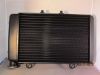 Radiateur Voxan Roadster