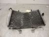 Radiator Suzuki GSX R 1000
