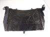 Radiator Yamaha YZF R1