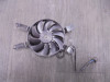 Fan Triumph Trident 660