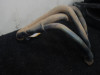 Downpipes Yamaha YZF R1