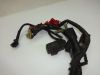 Wire Harness Honda CBX 750 F