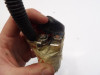Startmotor relais Honda CMX 250 