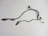 Wire Harness BMW F 800 S - ST