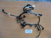 Wire Harness Honda CBR 600 F