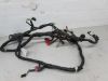 Wire Harness Honda CBR 1000 F