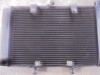 Radiateur Honda CBF 1000