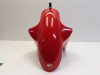 Voorspatbord Ducati 1098 SF Streetfighter 