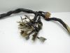 Wire Harness Honda Goldwing GL