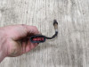 Lambda sensor Aprilia Tuono V4