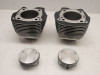 Cilinderblok Harley Davidson Softtail