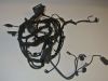 Wire Harness BMW F 800